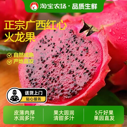 金都一号新鲜现摘香甜爆汁当季