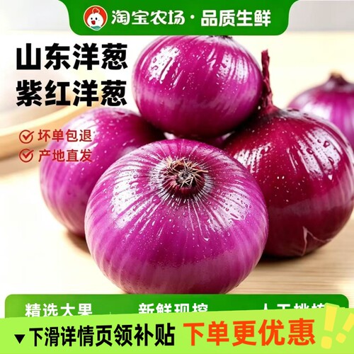 新鲜紫洋葱头农家自种蔬菜可作水果吃脆甜汁水饱满蔬菜