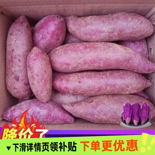 2026新鲜紫薯农家自种沙地红薯3/5/9斤紫罗兰蜜薯糖心甜番薯地瓜