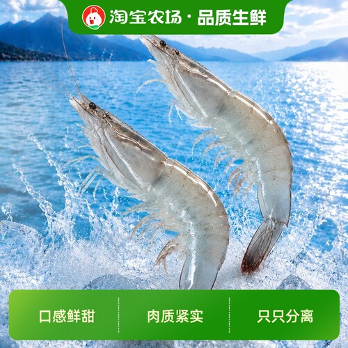 鲜活速冻白虾2030特大号海虾大虾海洋对虾生鲜青虾1500g/盒水产