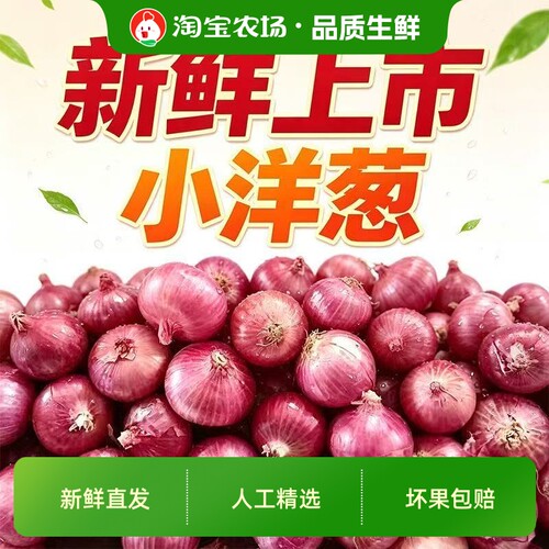 珍珠小洋葱红葱头圆葱2026新葱头农家自种迷你小葱头直发紫皮脆甜
