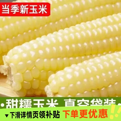 2025年头茬东北白糯玉米甜糯粘玉米真空装非转基因黏苞米粗粮代餐