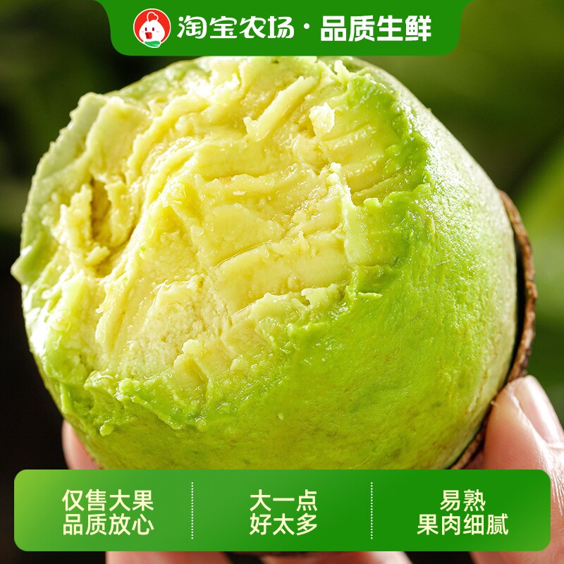 牛油果新鲜水果大果当季整箱包邮哈斯孕妇辅食一级鳄梨农场鲜果