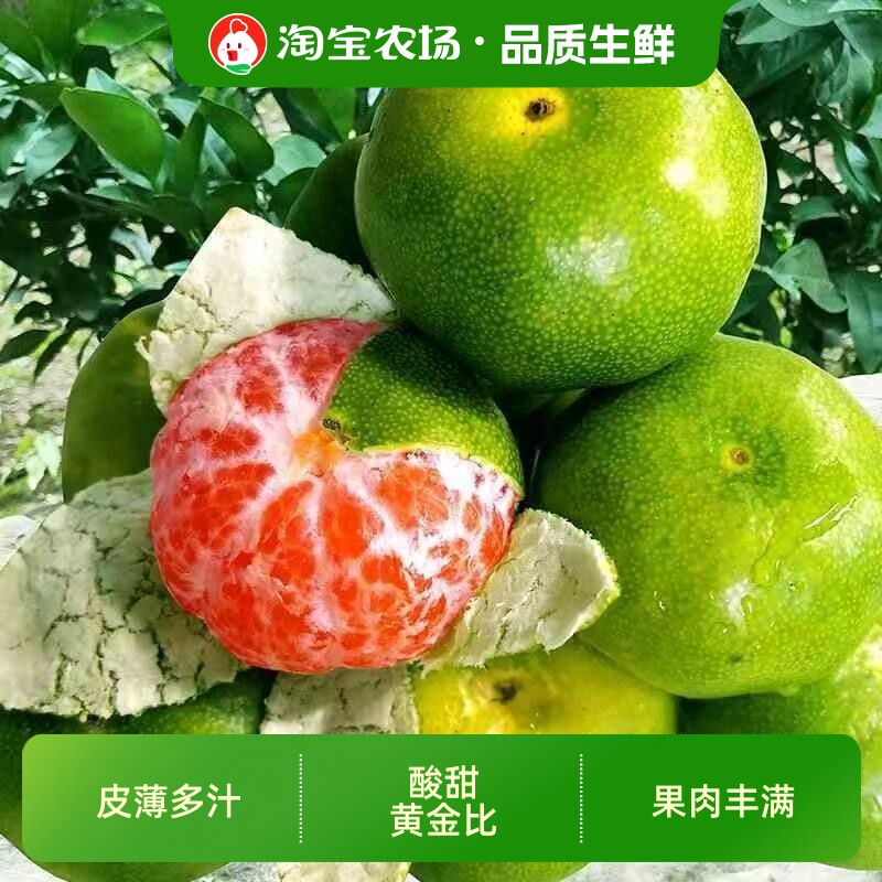 时令宜昌现摘蜜桔无籽桔子当季新鲜水果孕妇水果整箱包邮农场青皮