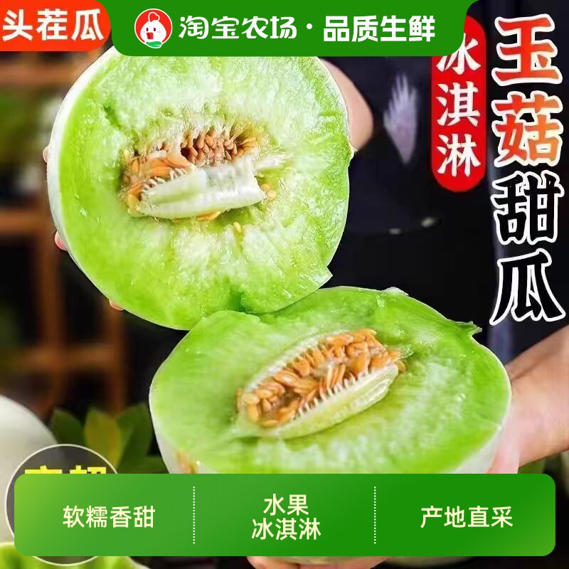 正宗冰淇淋玉菇甜瓜！新鲜现摘！