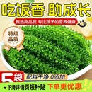 海葡萄儿童即食海葡萄植物鱼子酱海藻凉拌菜盐渍水葡萄爆珠浆海草