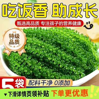 海葡萄儿童即食海葡萄植物鱼子酱海藻凉拌菜盐渍水葡萄爆珠浆海草