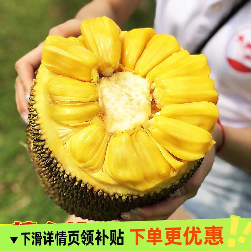 海南黄肉菠萝蜜新鲜水果波罗水果新鲜当季红三亚特产一整个包邮