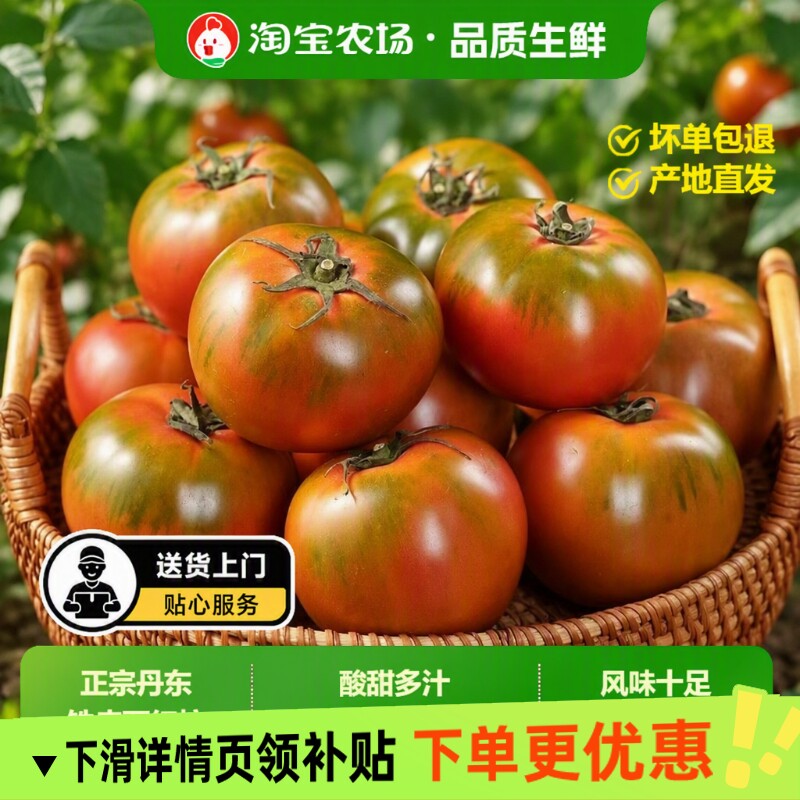 顺丰草莓柿子番茄丹东铁皮柿子绿腚新鲜生吃西红柿自然熟正宗包邮