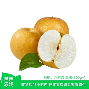秋月梨山东烟台特产原芭芭农场6粒装单果300g+回购单品农家种植