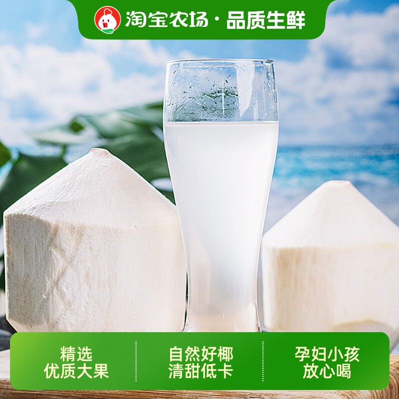 现货泰国香水椰青大果新鲜水果进口奶香椰子当季时令孕妇椰肉椰汁