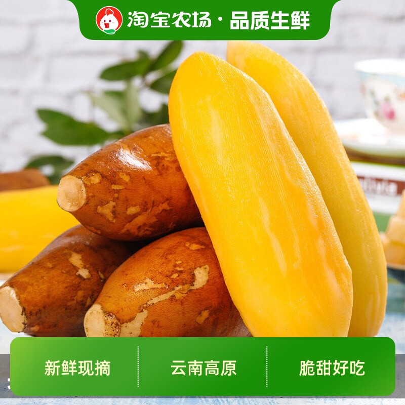 云南天山雪莲果新鲜水果当季红心黄心雪连果孕妇水果9斤农场现摘
