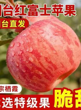 栖霞红富士苹果当季新鲜水果产地脆甜包邮一整箱丑现摘送货直供