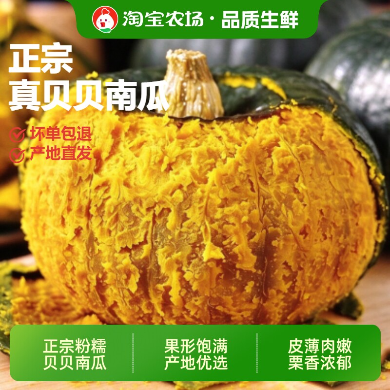 正宗贝贝小南瓜粉糯香甜板栗味宝宝辅食新鲜粗粮产地直发当季农场