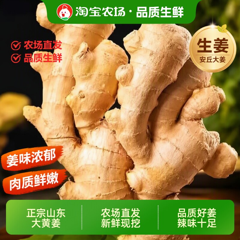 山东大黄姜生姜老姜现挖蔬菜正宗大姜优月子姜风干姜鲜姜自然晾晒