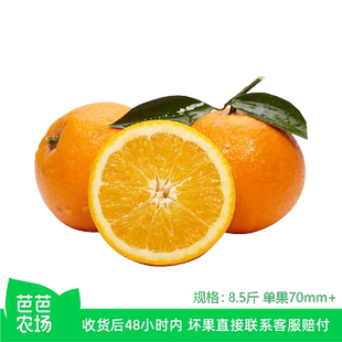 【芭芭农场】高山脐橙8.5斤70mm+