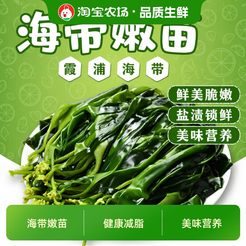 鲜海带苗嫩海带商用霞浦新鲜盐渍小海火锅食材丰富美味凉拌煲汤图片