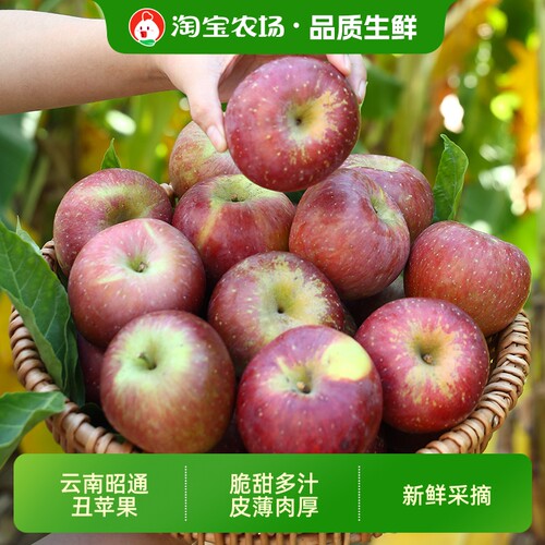 云南昭通丑苹果冰糖心产地新鲜水果红露富士当季整箱包邮农场自然