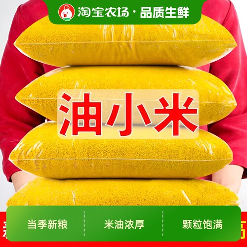 优质黄小米陕西小米五谷杂粮特产粮食小黄米油煮粥软糯香甜