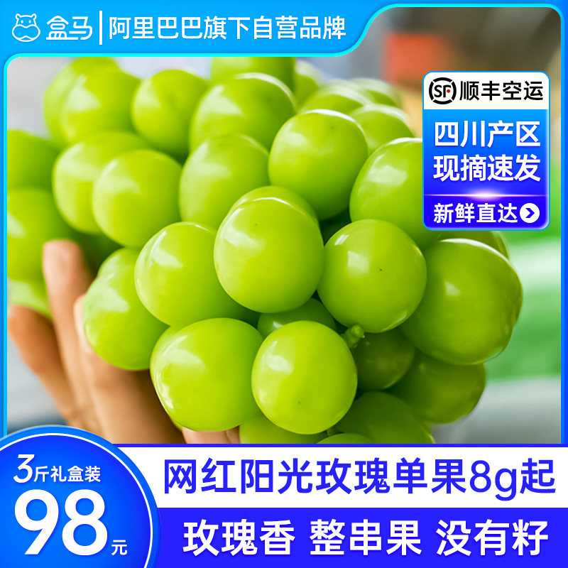盒马四川阳光玫瑰中果3斤礼盒装当季新鲜现摘无籽葡萄晴王提子