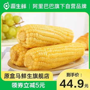 穗康白糯玉米220g*8支非转基因真空装谷物早餐代餐粗粮杂粮