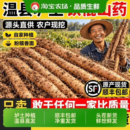 正宗河南焦作温县垆土铁棍山药特产铁杆山药产地直发新鲜5斤整箱