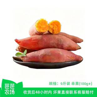 【芭芭农场】新鲜黄心龙九红薯9斤装 单果100g+