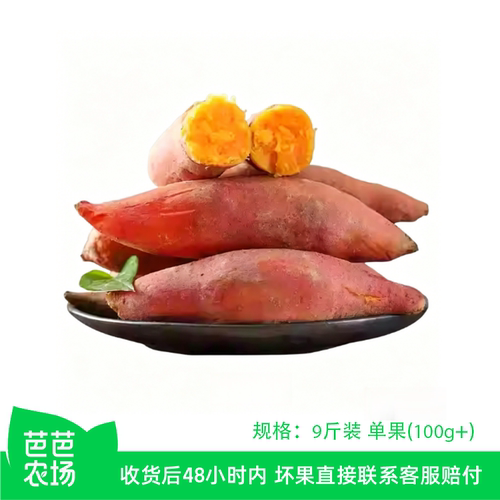 【芭芭农场】新鲜黄心龙九红薯9斤装 单果100g+