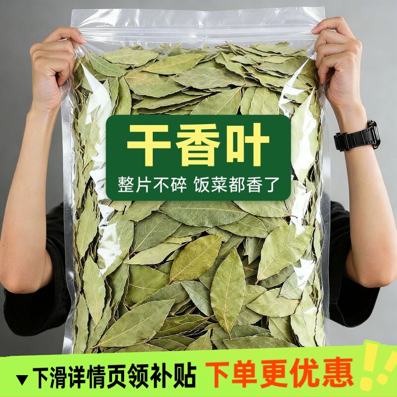 新鲜头茬香叶 新货广西新货香叶无硫香叶香料卤料商用食用批发