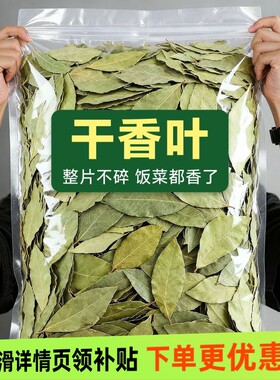 新鲜头茬香叶 新货广西新货香叶无硫香叶香料卤料商用食用批发
