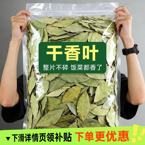 新鲜头茬香叶 新货广西新货香叶无硫香叶香料卤料商用食用批发