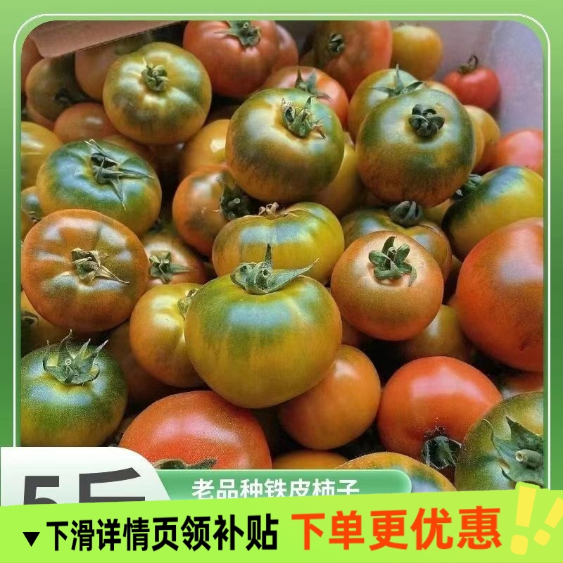 顺丰包邮丹东碱地铁皮柿子绿腚草莓油柿子生吃超甜西红柿番茄东北