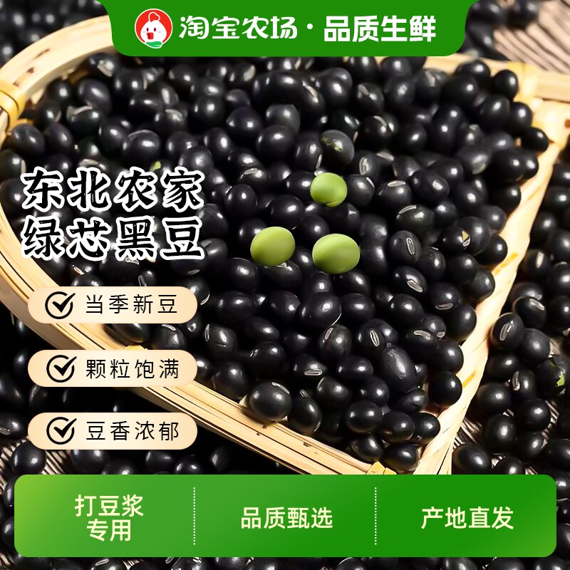 东北绿芯黑豆5斤农家自种打豆浆专用绿心黑大豆子新货优质杂粮