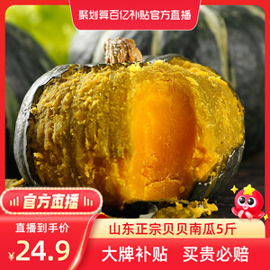 【聚划算百亿补贴官方直播】山东正宗贝贝南瓜新鲜小南瓜宝宝辅食