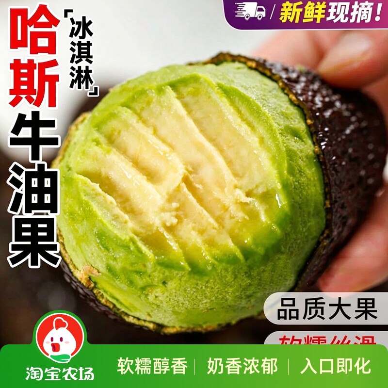 正宗云南孟连哈斯牛油果大果新鲜水果即食一级鳄梨国产现摘保存