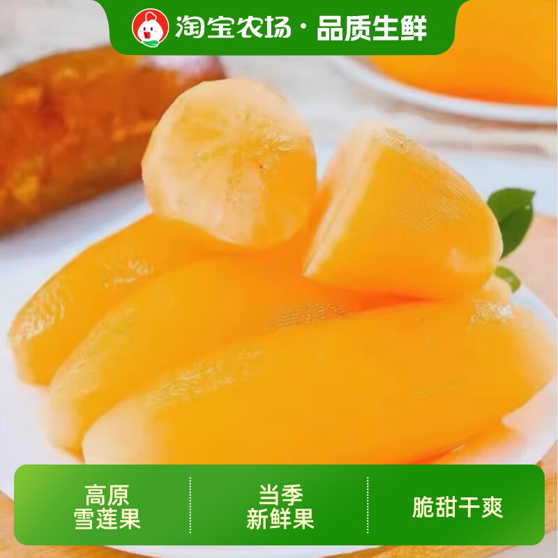 新鲜当季云南天山雪莲果现挖雪莲果黄心白心9斤农场食用保存适合
