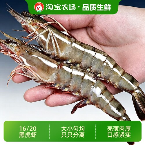 黑虎虾大号冷冻1kg/盒