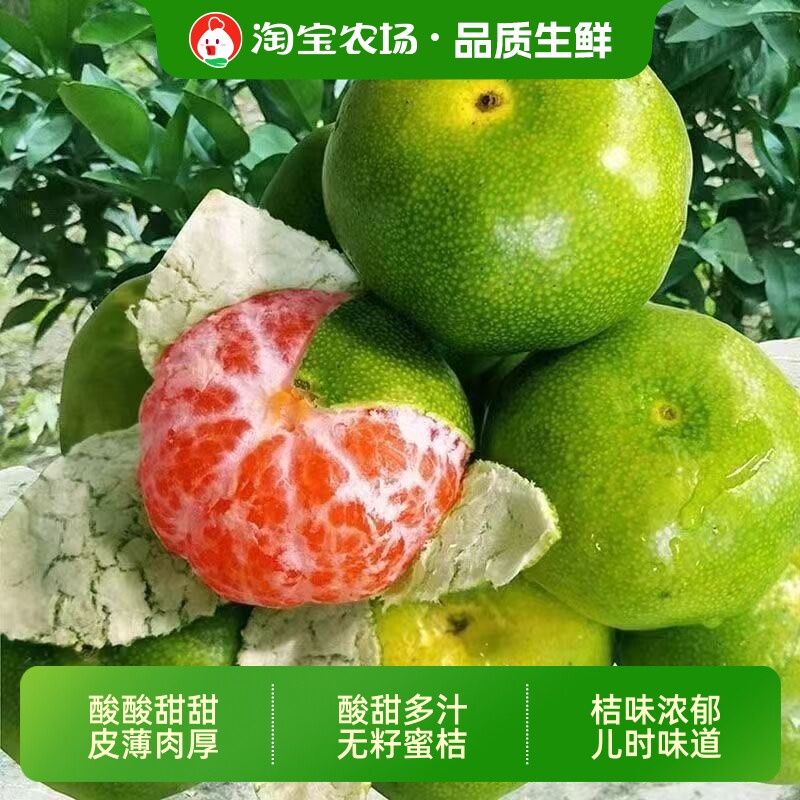 新鲜蜜桔青皮橘子当季多汁水果宜昌蜜橘桔子现摘5斤农场清香无籽
