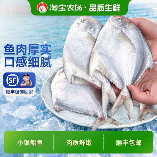 【闹妈专属】银鲳鱼冷冻鲜嫩小鲳鱼速冻海鲜水产小鲳鱼200g*5袋