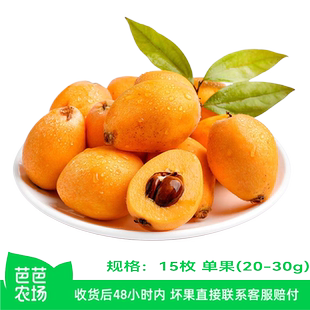 单果20 枇杷15枚装 30克 芭芭农场兑换专享