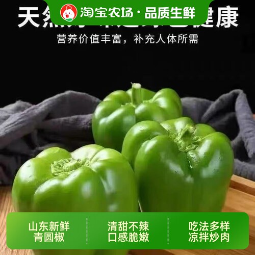 青圆椒厚肉脆甜灯笼椒不拉甜椒