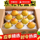 包邮 东北花盖梨5斤梨子新鲜应季 水果辽宁特产整箱