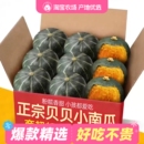 正宗贝贝南瓜板栗味5斤贝贝小南瓜新鲜果蔬老瓜粉糯甜农家10