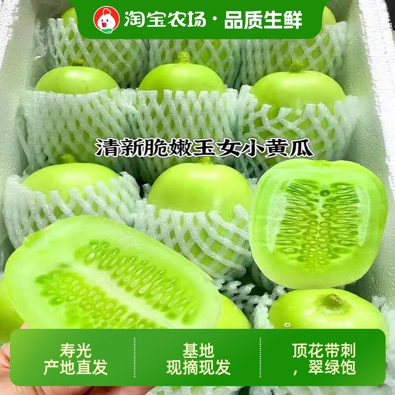 寿光玉女水果小黄瓜新鲜拇指黄瓜鲜嫩清脆爽口孕妇生吃蔬菜现摘
