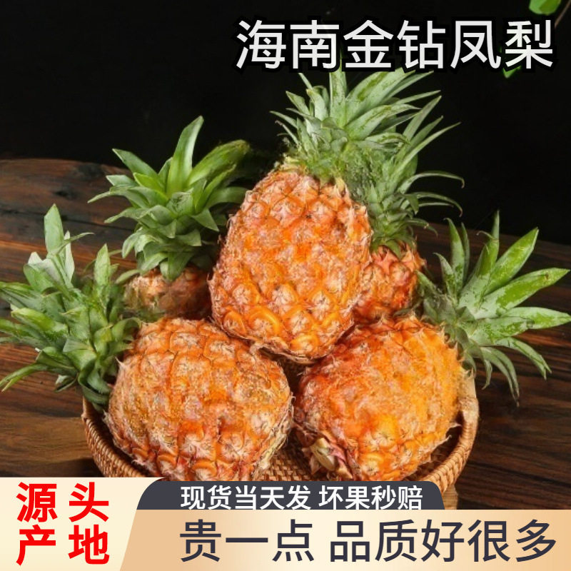 【海南直发】正宗海南金钻凤梨新鲜水果当季树熟芒果凤梨斤,水产肉类/新鲜蔬果/熟食,菠萝,淘宝优惠券,粉丝福利购,淘宝优惠卷