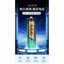 555牌五号电池 纽扣式电池CR2032电子电池