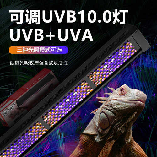 爬虫可调节晒背灯UVB灯uva爬宠灯陆龟鬃狮蜥蜴爬箱雨林缸LED晒灯