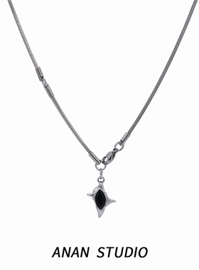 双子星钛钢项链男女欧美锁骨链