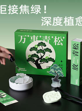 【万事青松】艾玛莫莉扩香精油礼盒晶石香薰高级感摆件生日礼物