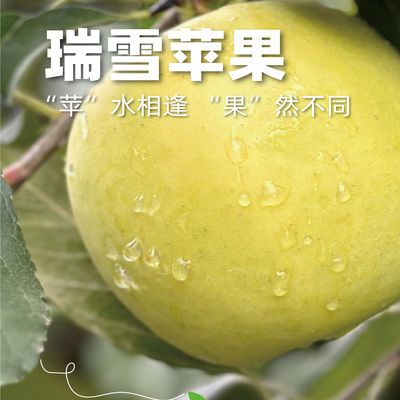 纯甜70-75mm瑞雪新品品尝款